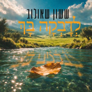 ששון איפרם שאולוב ששון איפרם שאולוב
