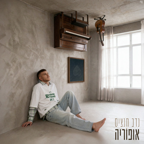 נדב חנציס